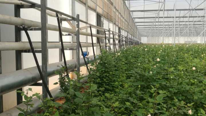 電磁流量計(jì)現(xiàn)場(chǎng)安裝圖 電磁流量計(jì)現(xiàn)場(chǎng)安裝圖