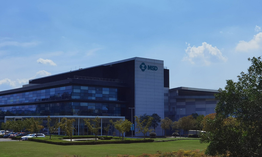 1632473089399377.jpg 7.jpg